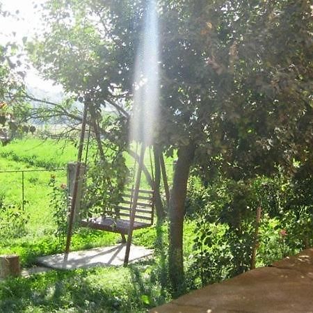 Lary Hostel Σουκεάβα Εξωτερικό φωτογραφία