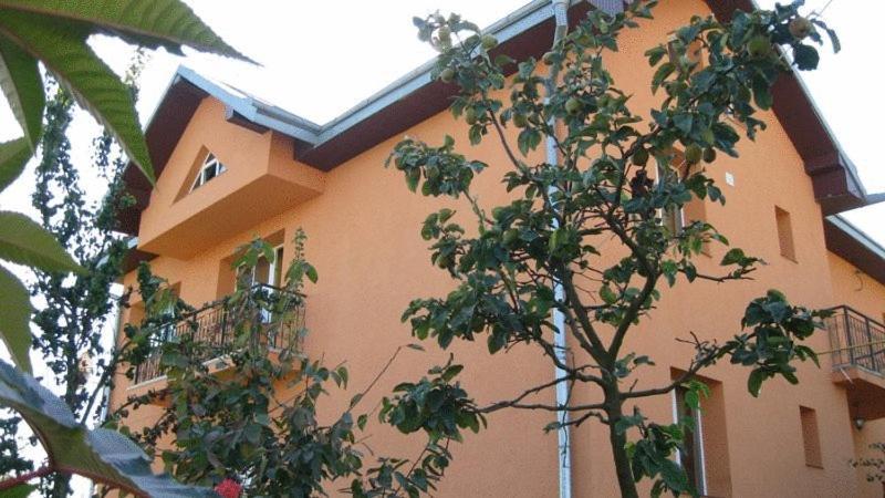 Lary Hostel Σουκεάβα Εξωτερικό φωτογραφία