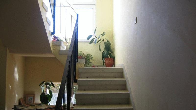 Lary Hostel Σουκεάβα Εξωτερικό φωτογραφία
